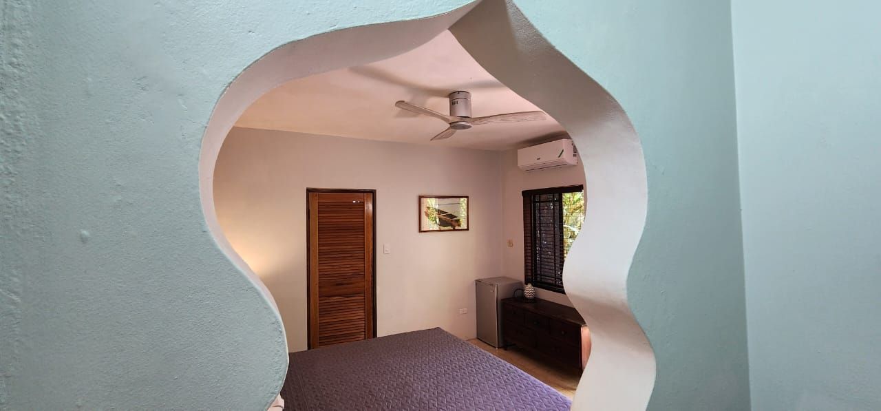 Bedroom interior viewed through an arched doorway, with a bed, door, window, and ceiling fan.