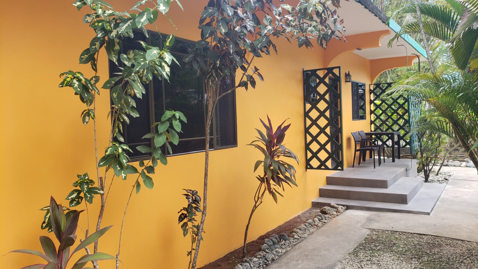 Yellow building exterior with steps, windows, and plants.