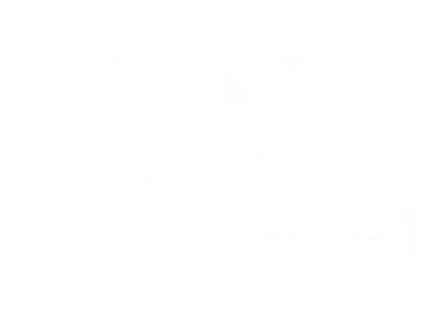 Mostly blank white image with a faint light-gray horizontal band near the center