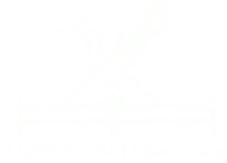 Mostly blank white image with a faint light-gray horizontal band near the center
