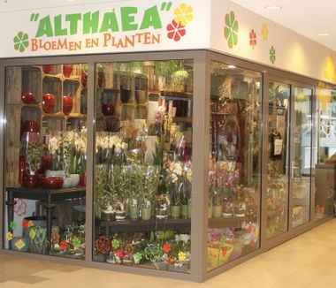 Planten koop je bij Althaea Bloemen en Planten in het overdekte winkelcentrum Stadsdennen in Harderwijk