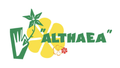 Althaea Bloemen en Planten in Harderwijk
