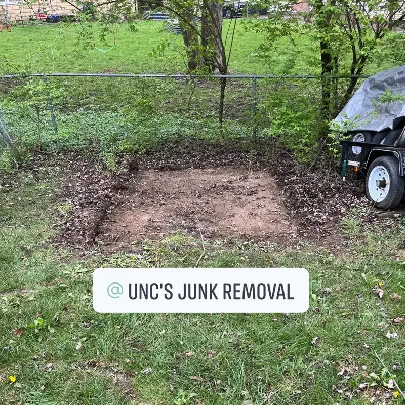 After shed removal