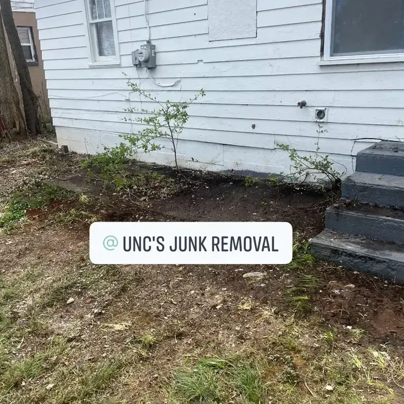 After trash junk removal