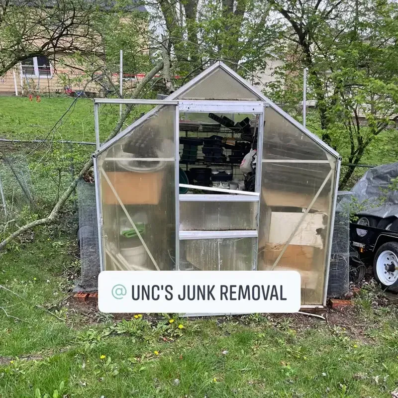 Before shed removal
