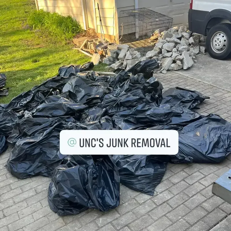 before trash removal