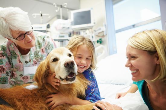 A woman and a little girl are petting a dog in a hospital bed.