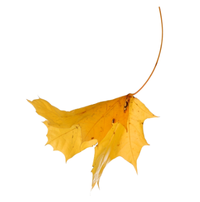 Falling icon