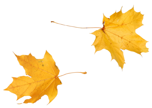 Falling icon
