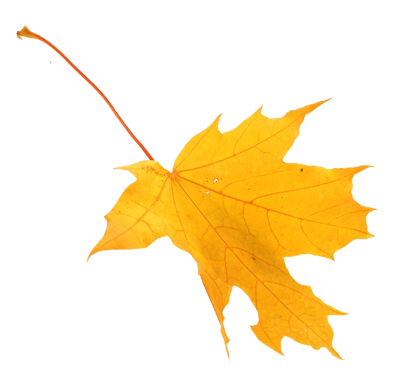 Falling icon