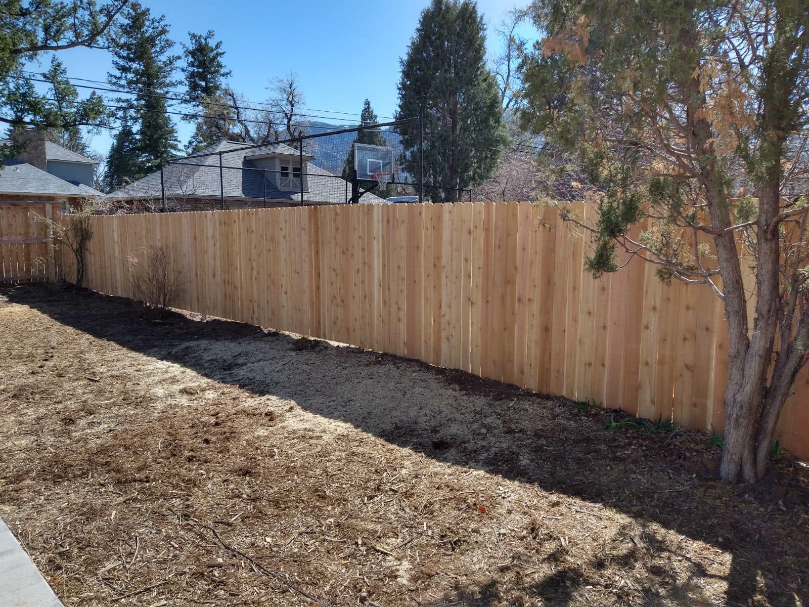 Backyard with a new wooden fence, bare ground, and trees in sunlight