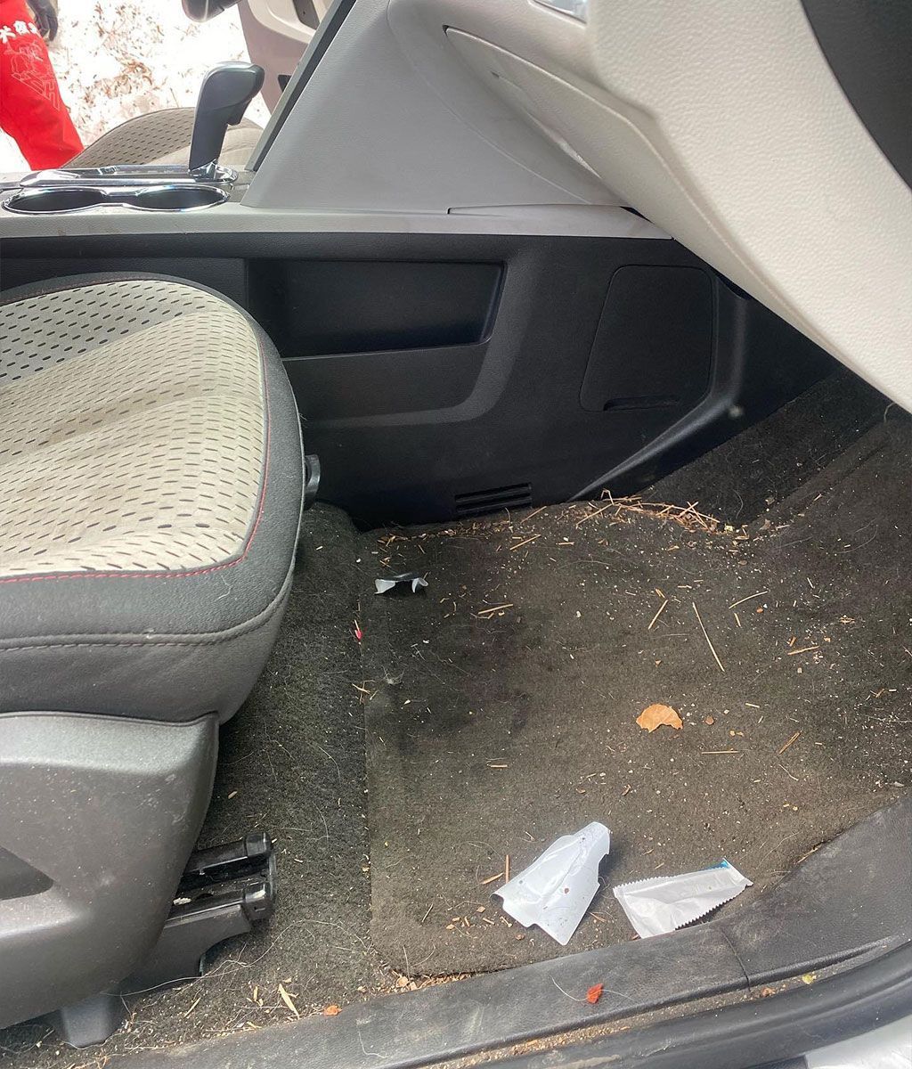 seat detailing before
