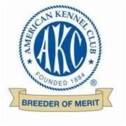 American Kennel Club Breeder of Merit logo with blue circular seal and gold banner
