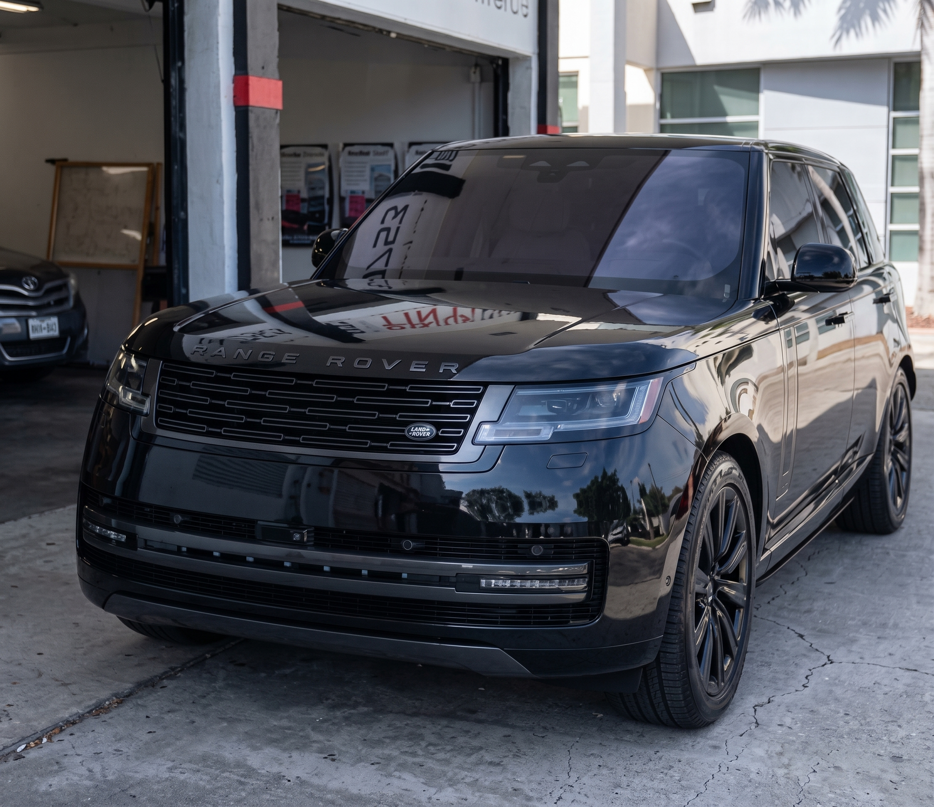 Window Tint