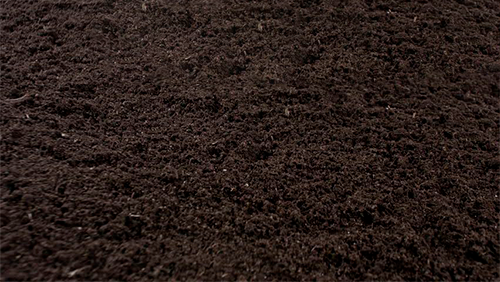 Dark, textured soil or mulch covering the ground.