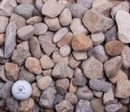 Small white object among tan pebbles and rocks outdoors