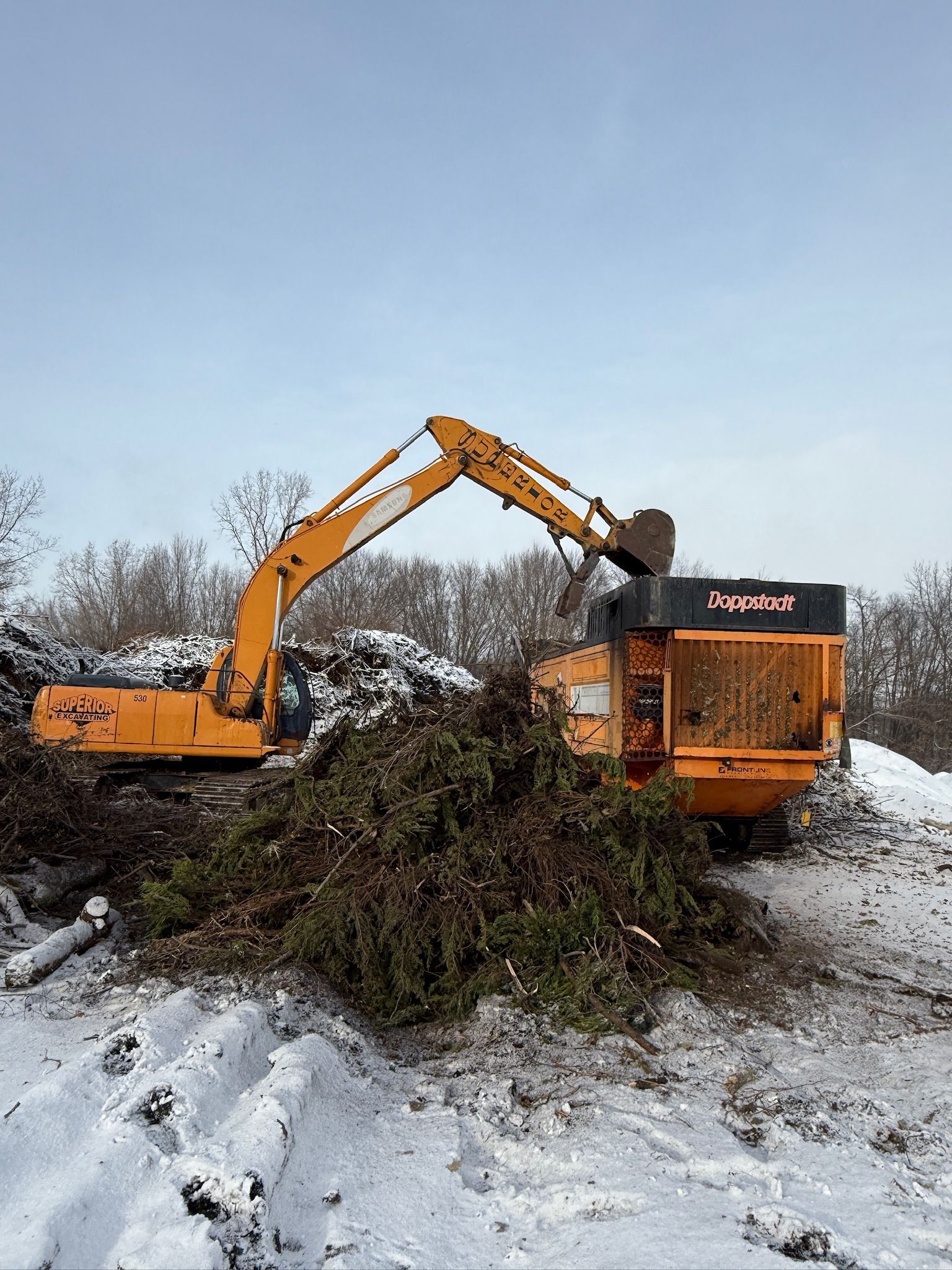 Yellow excavator loading brush into a dump truck in a snowy field under a cloudy sky