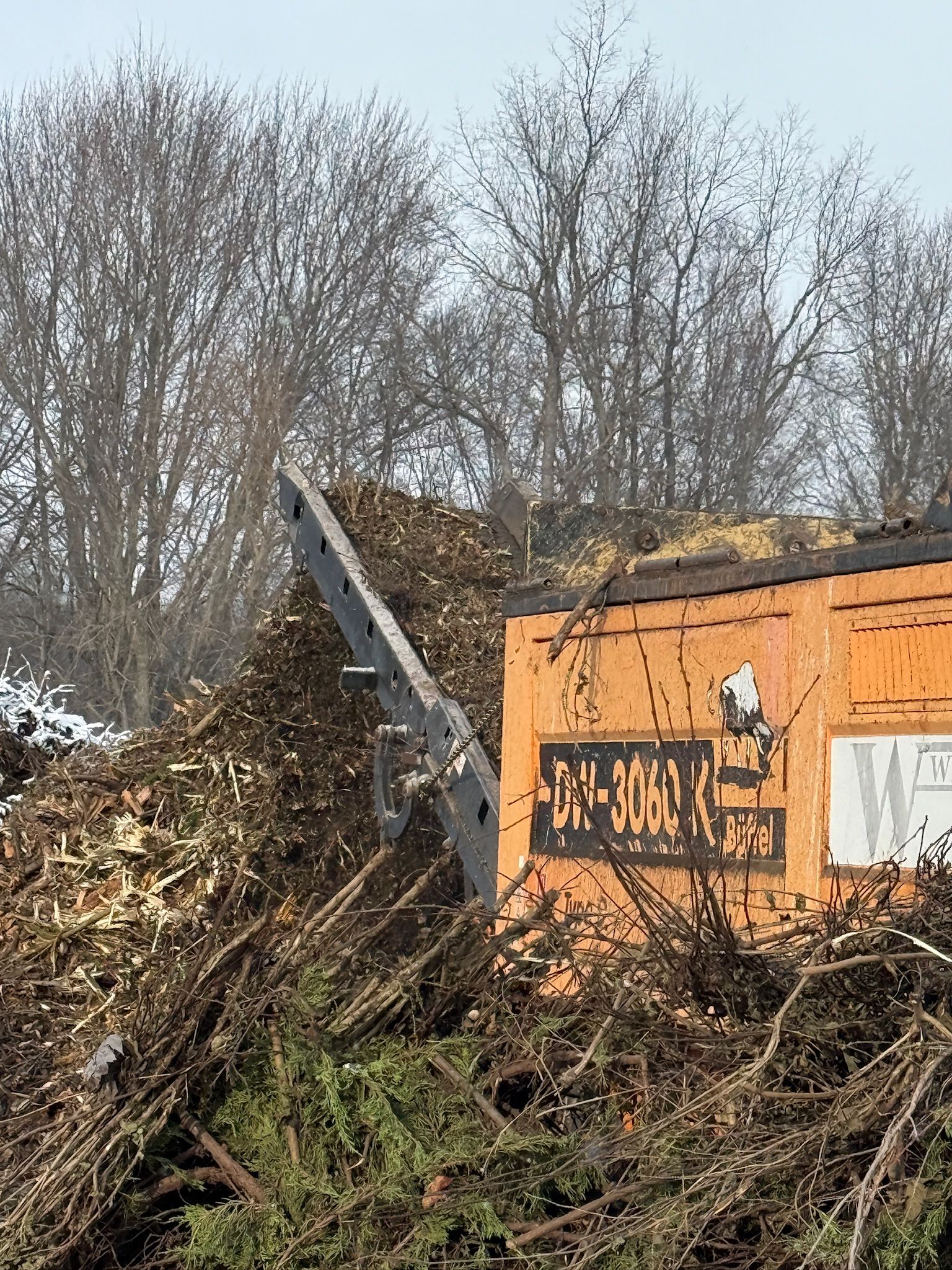Orange shipping container partially buried in brush, with fallen trees and debris in the foreground.