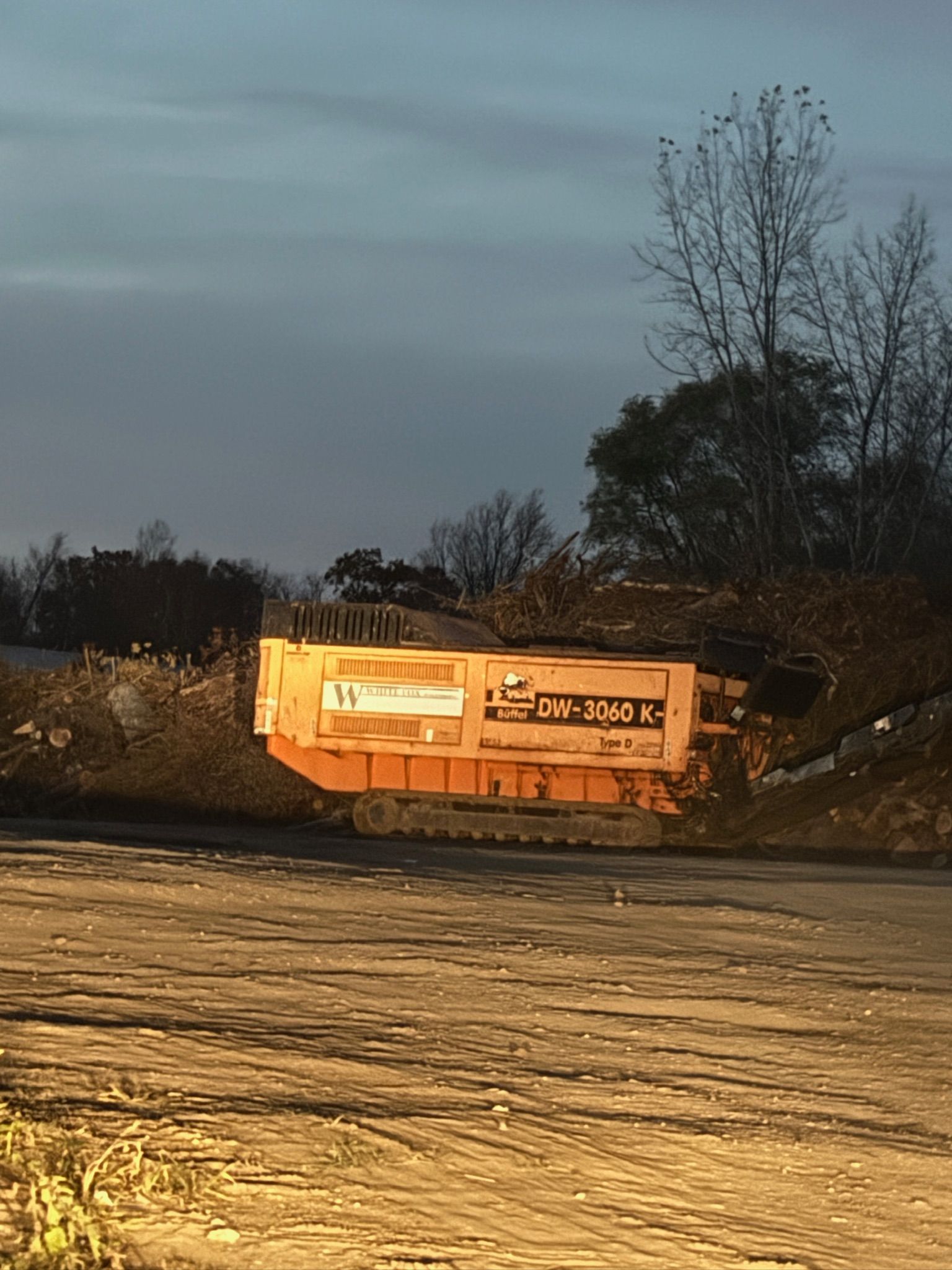 Orange dumpster in a dirt lot at dusk, with trees and overcast sky in the background.