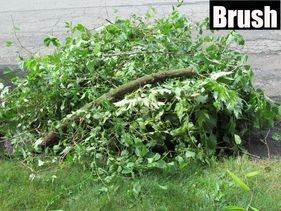 Pile of green yard brush beside a brick wall, with a large branch on top.