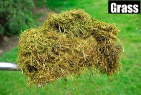 Handful of cut green grass on a metal pitchfork against a blurred grassy background