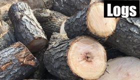 Stacked cut logs with rough bark and pale wood ends; “Logs” text in the top right.
