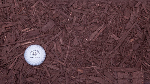 White golf ball on reddish-brown mulch.
