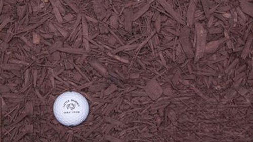 White golf ball on brown wood chips mulch.