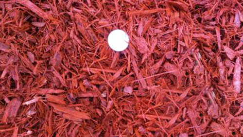 White golf ball on red mulch ground