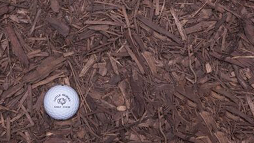 White golf ball on brown wood mulch in a close-up view.