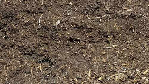 Close-up of brown soil with scattered wood chips and twigs