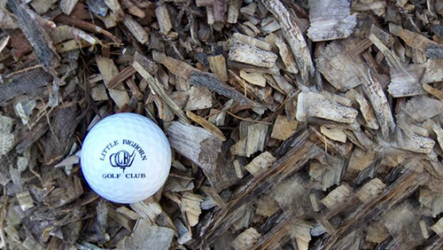 White golf ball on wood chips mulch, with text visible on top.