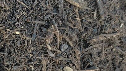 Close-up of brown wood chips and mulch on the ground.