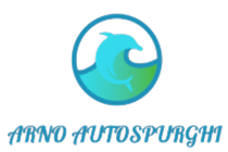 logo autospurgo