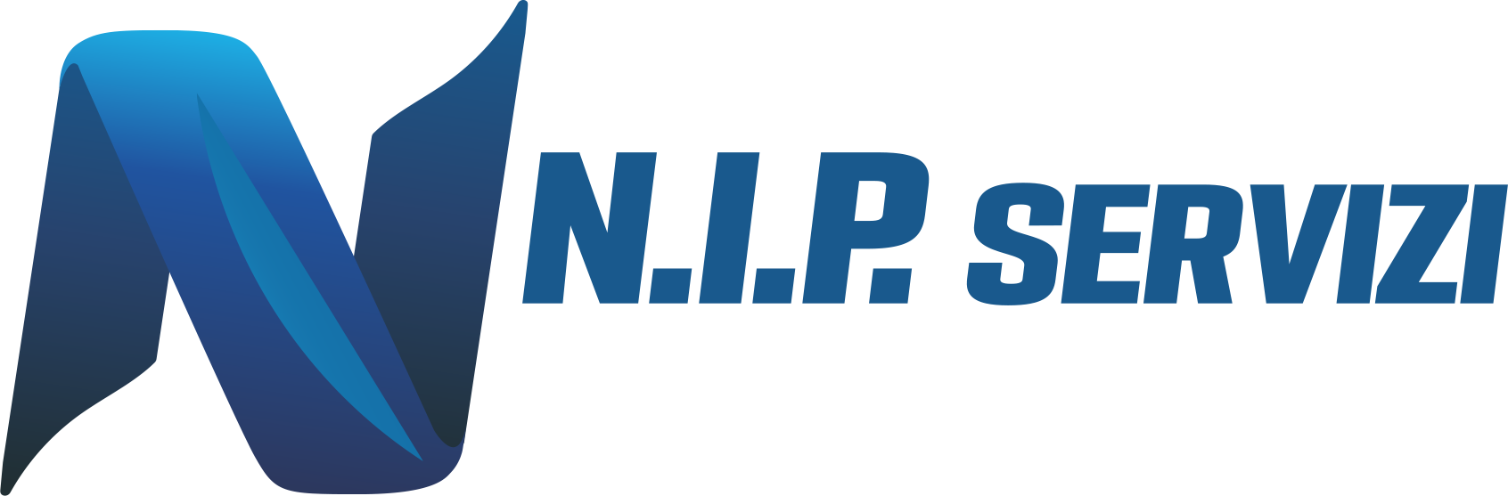 Logo NIP-SERVIZI
