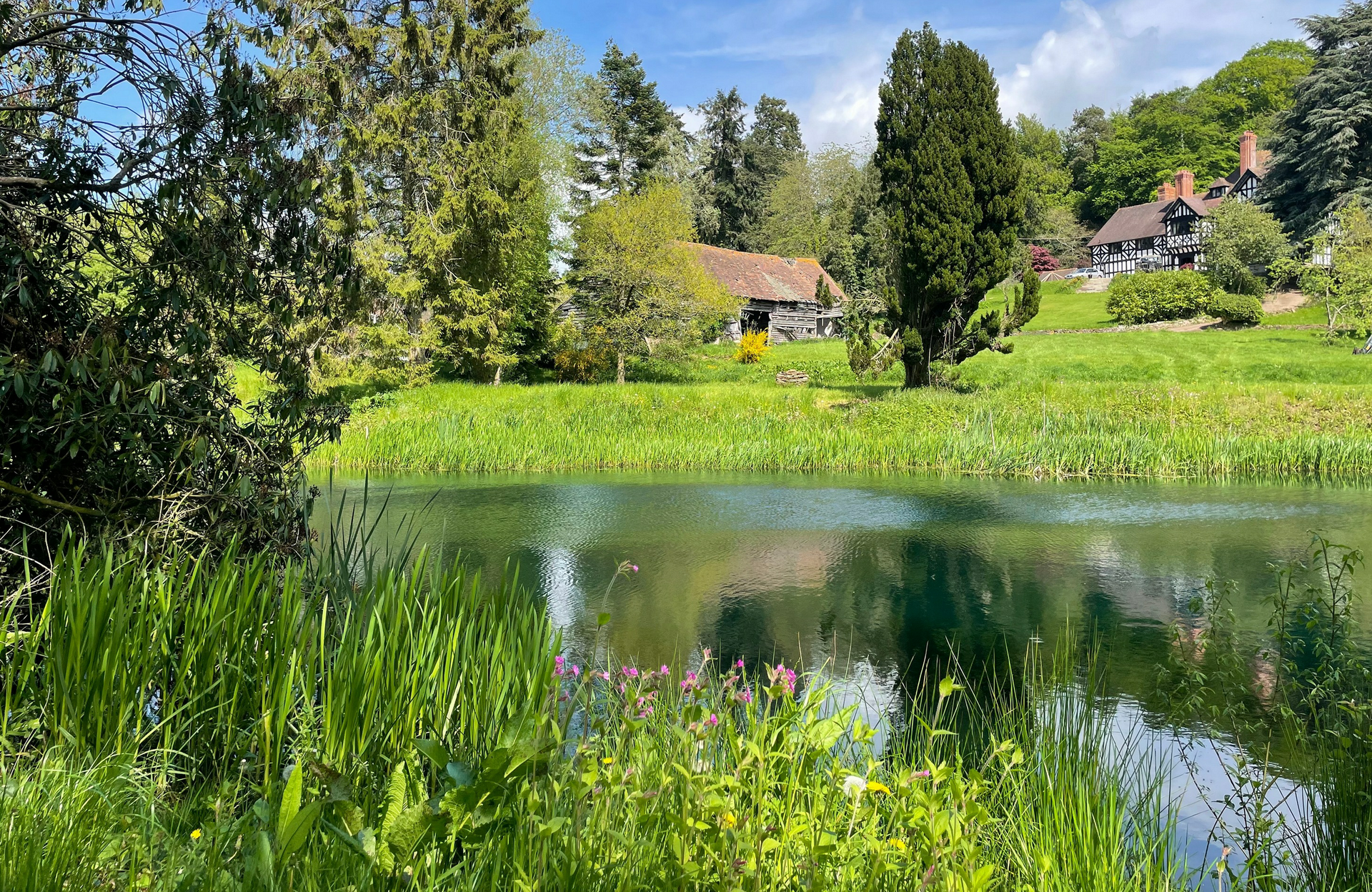 Rowden Abbey Lake