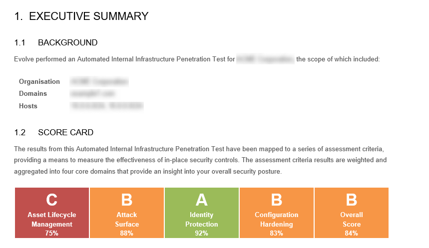An executive summary is shown on a white background of an EvolvePT report. 