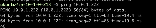 A blurred image of a computer screen that says ping 10.0.1.222