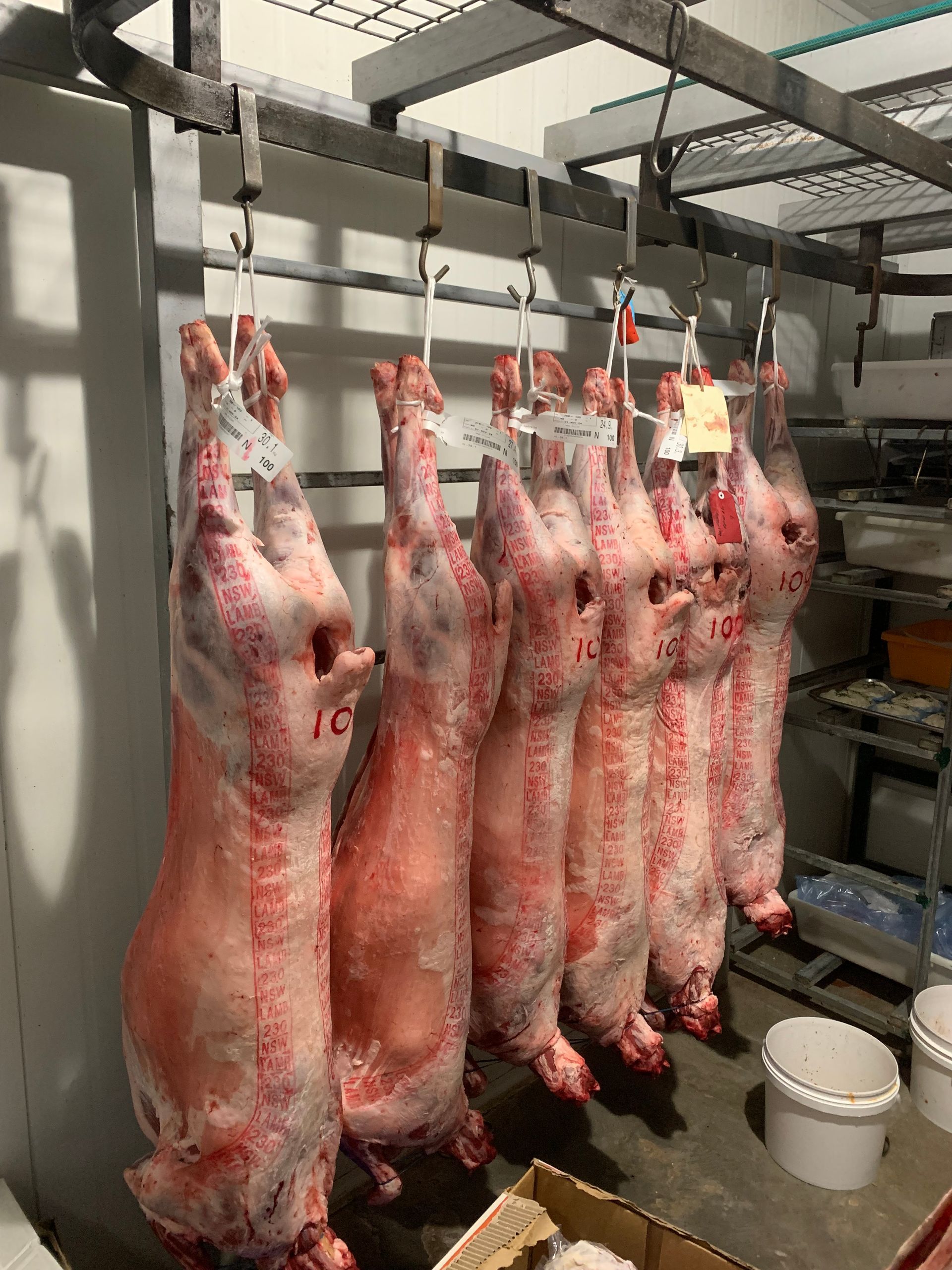 meat