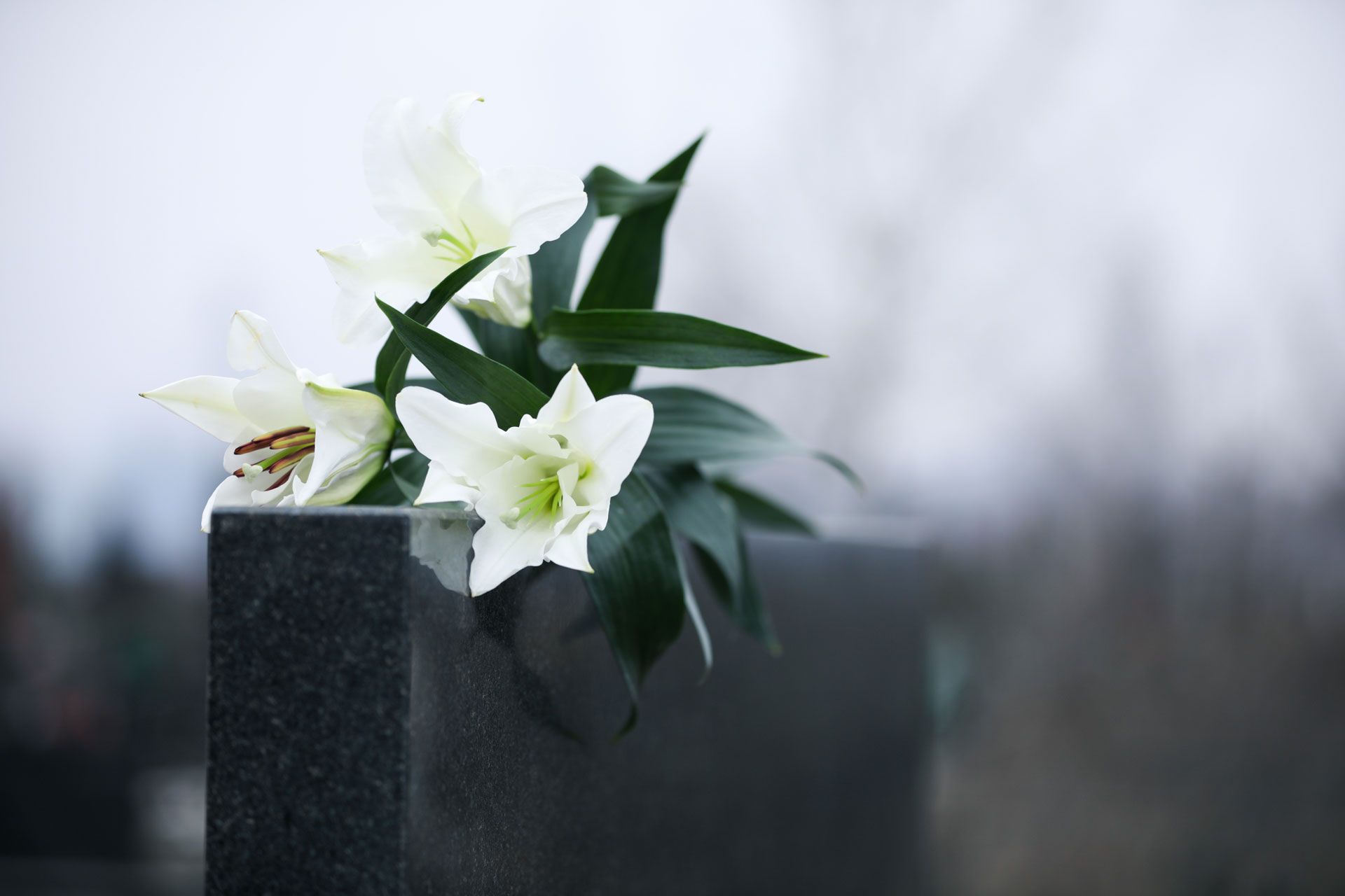 White lilies rest on a dark granite headstone in a cemetery, against a blurred, overcast background.