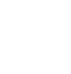 prismatek fabric