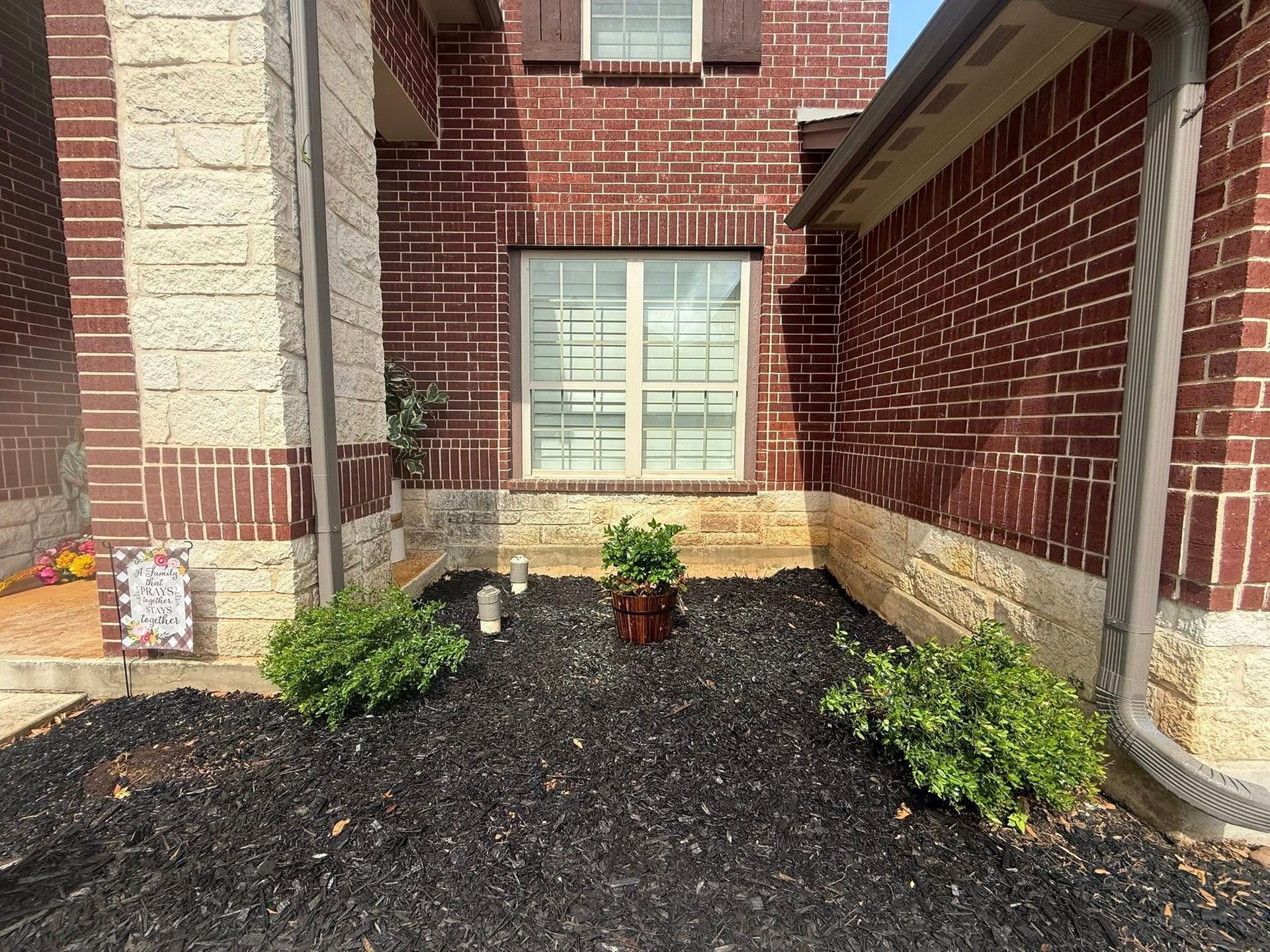 Brick house with small shrubs in front of window; black mulch.