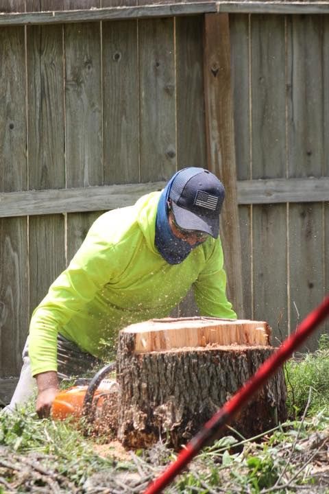 Person in yellow jacket using chainsaw on tree stump near fence.