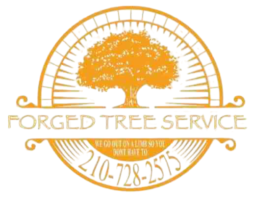 Logo for Forged Tree Service: an orange tree within a gold circle; includes the phone number.
