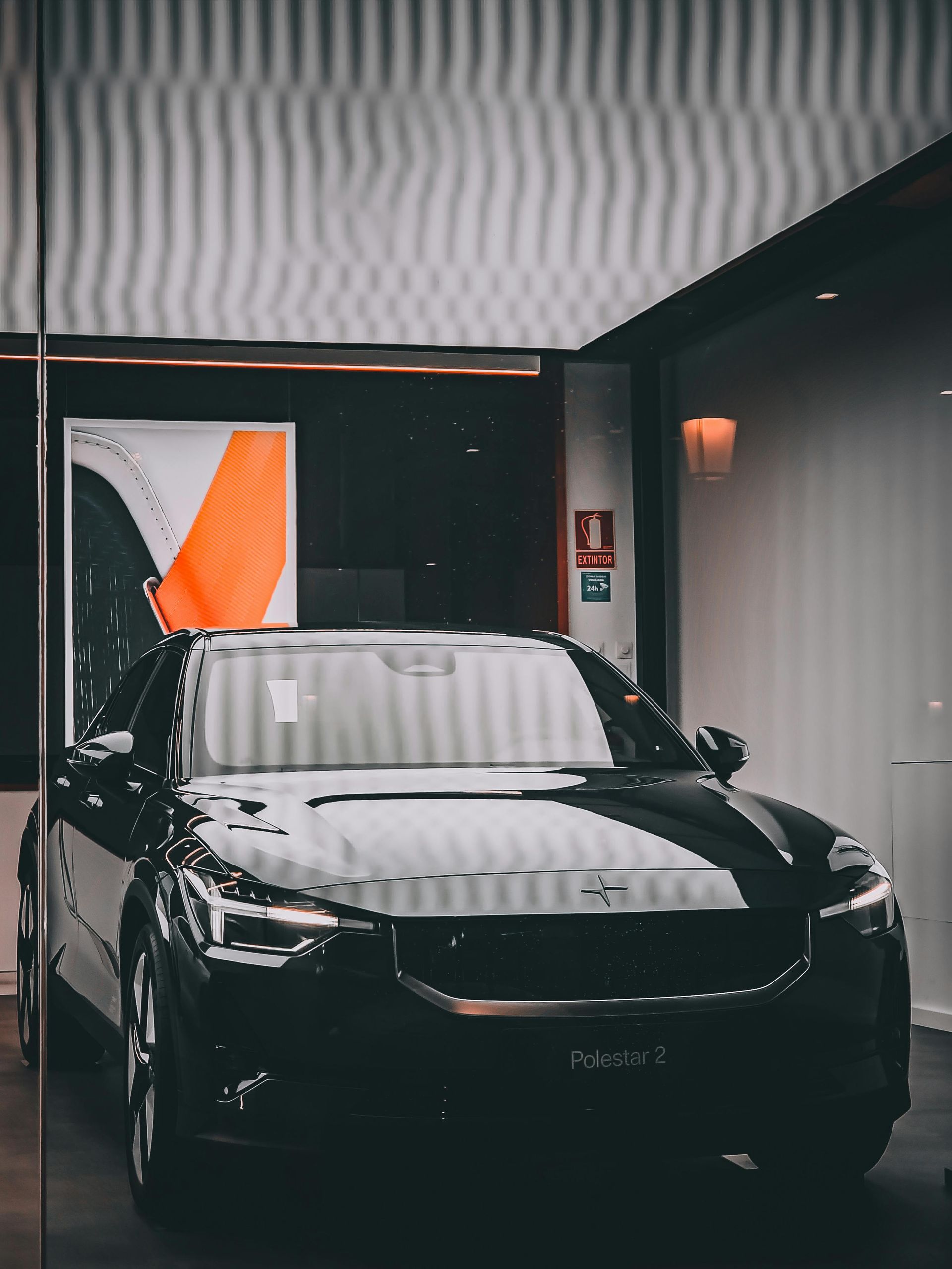 pexels-photo-15691824.jpeg