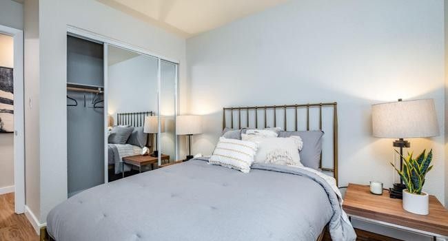 Bright bedroom with gray bed, mirrored closet, and bedside lamps