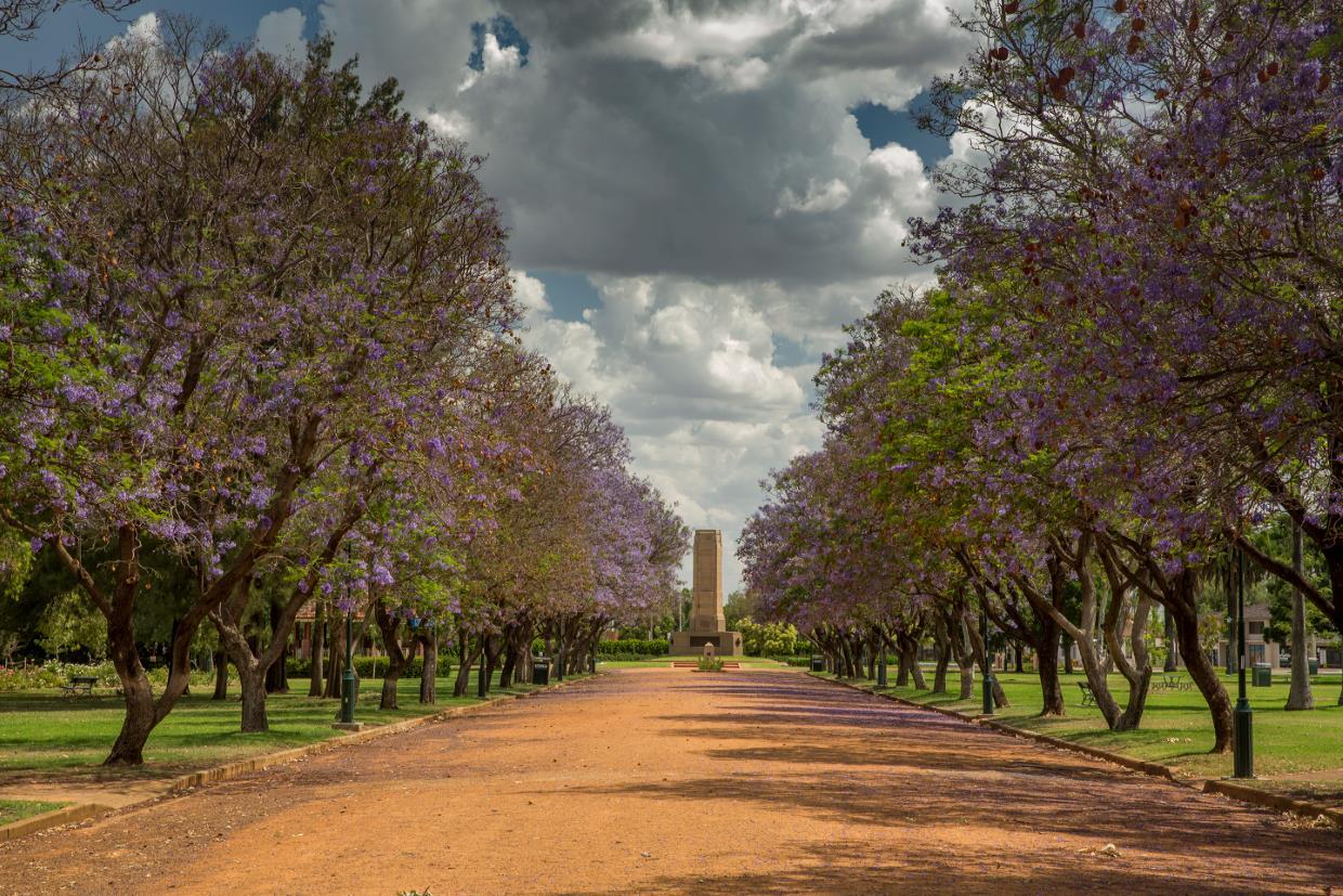 Bourke — Service Areas in Bourke, NSW