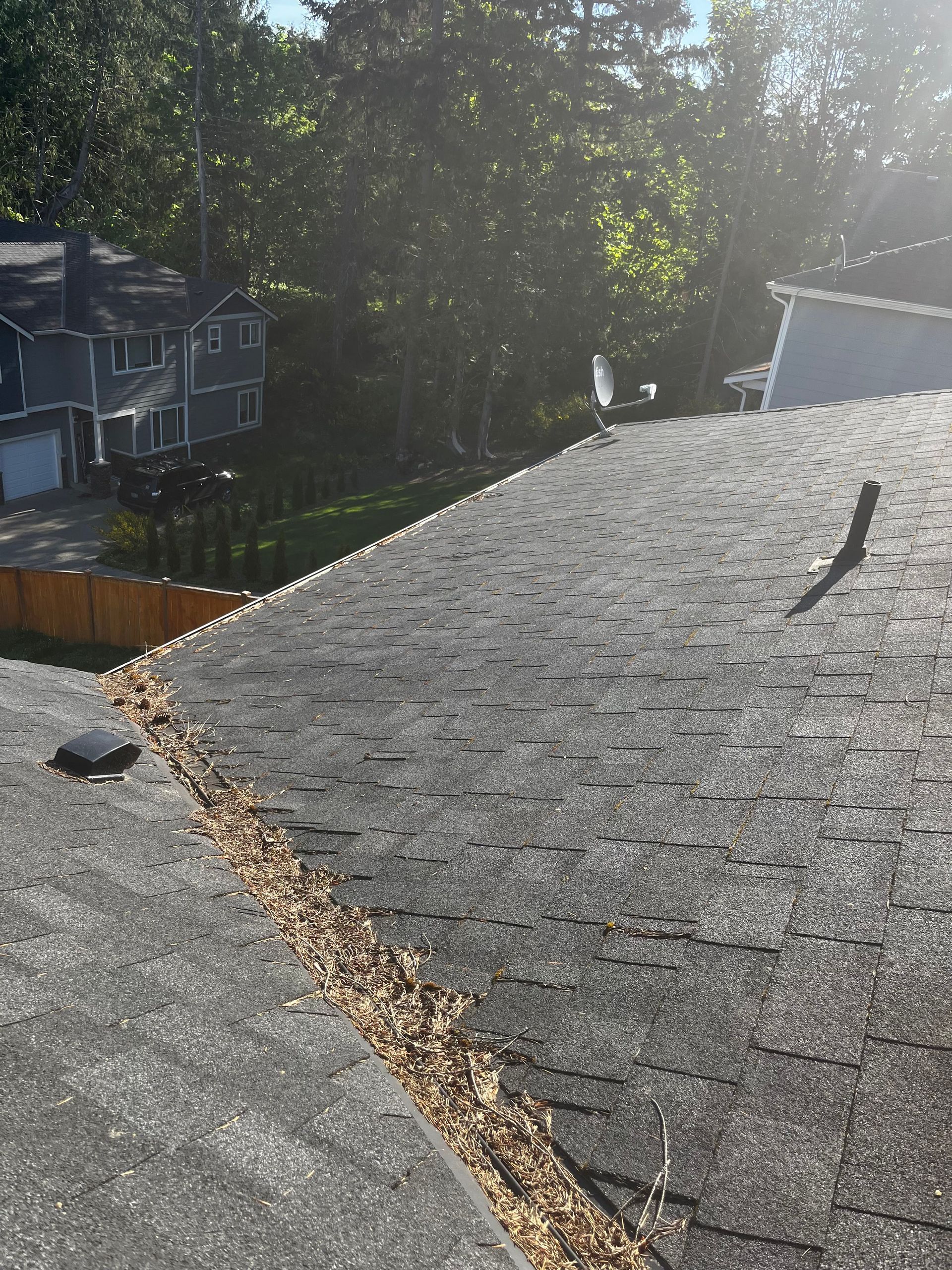 Shingled rooftop with a row of wood chips along the ridge, trees and neighboring houses in the background.