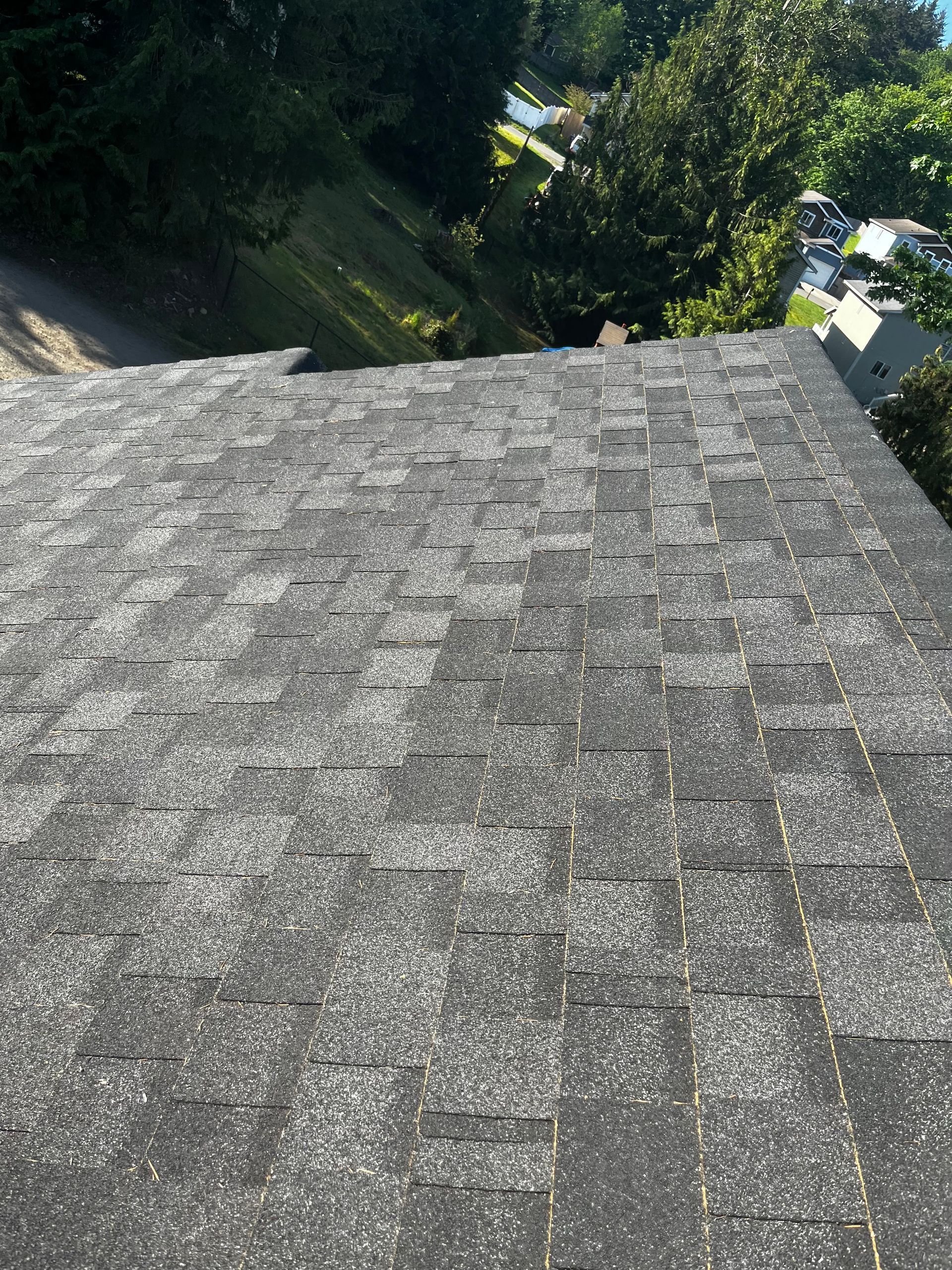 View from a shingled roof sloping down toward trees and a sunlit street below