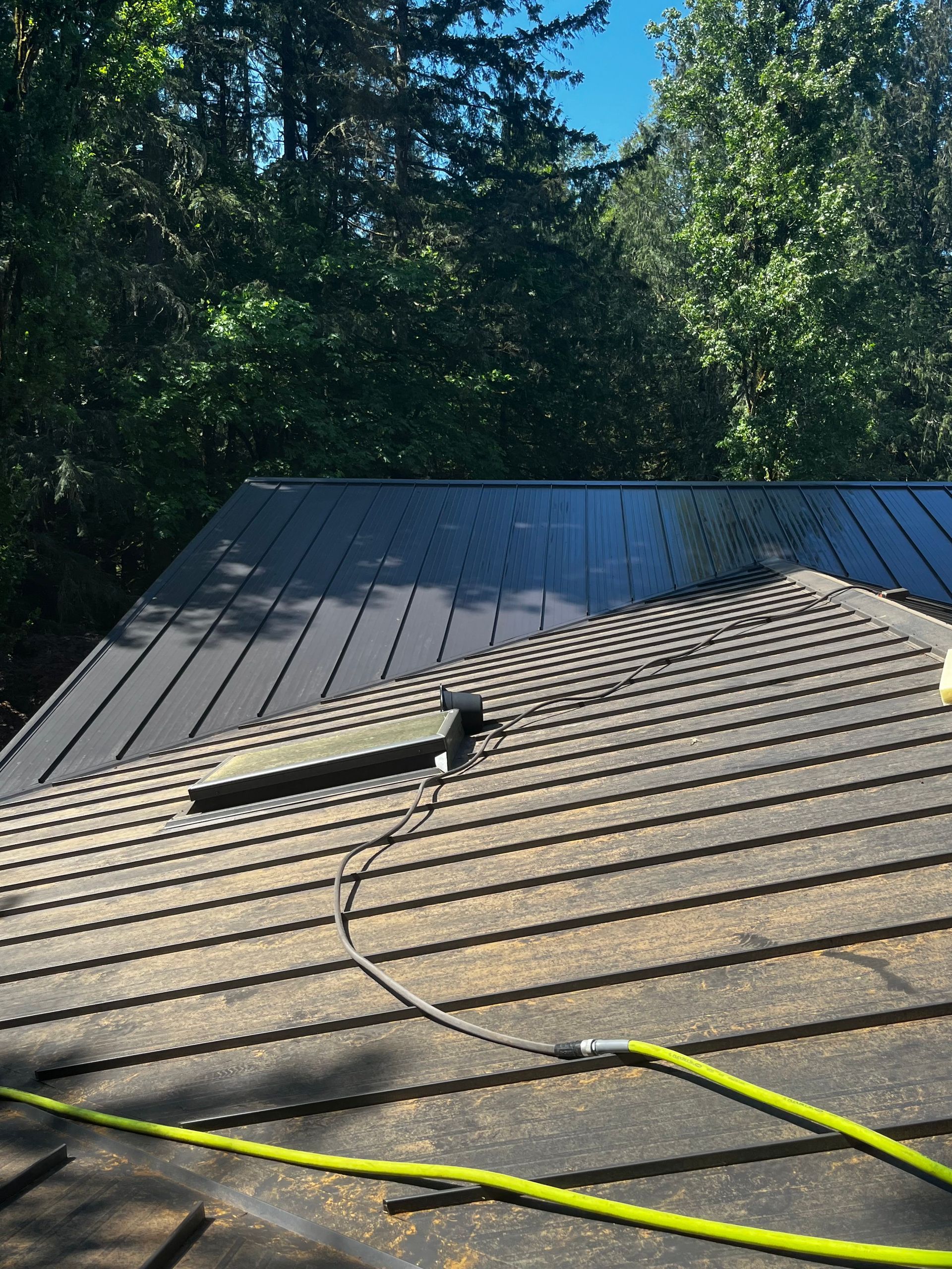 Roof with a skylight and hose in the foreground, surrounded by tall trees and a wooded backdrop
